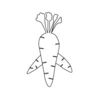 Carrot with leaves minimalist on white background vector