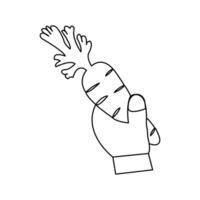 Continuous one line art drawing of carrot icon design vector