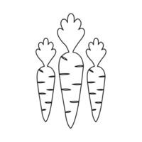 Continuous single line drawing of carrot abstract outline art design vector