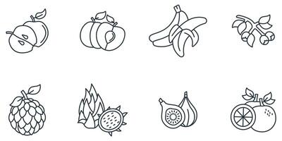 Fruits icons set . Fruits pack symbol elements for infographic web, vector