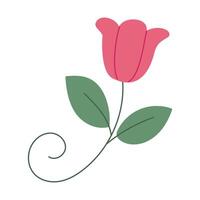 A pink flower with green leaves. The flower is in the middle of the image and the leaves are on the right side vector