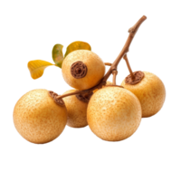 Fresh longan fruit cluster isolated on a clean transparent background, showcasing its unique texture and color, Longan isolated on transparent background png
