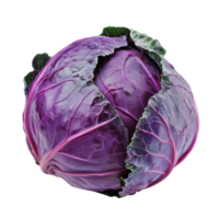 A vibrant purple cabbage isolated on a clean transparent background showcasing its natural beauty and intricate textures, purple cabbage isolated on transparent background png