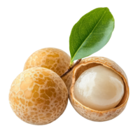 Fresh and ripe longan fruit with a green leaf against a transparent background showcasing its natural texture, ripe longan on transparent background png