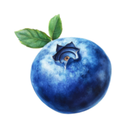 A single, ripe blueberry with a bright blue hue and a green leaf rests on a clean transparent background, blueberry isolated on transparent background png