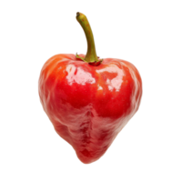 Fresh rose apple against a clean transparent background showcasing its vibrant color and unique shape, Rose apple in transparent background format png