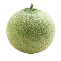 Freshly harvested melon isolated on a clean transparent background, showcasing its textured rind and vibrant color, Melonisolated on transparent background png