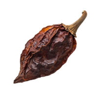 Dried puya pepper displayed on a transparent background highlighting its rich color and unique texture, dried puya pepper isolated on transparent background png