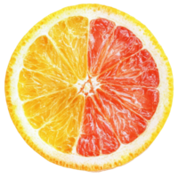 Freshly cut orange, grapefruit, and lemon slices isolated on a transparent background for vibrant culinary use, orange grapefruit lemon slice isolated on transparent background png
