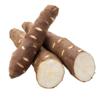 Cassava roots on a clean transparent background showcasing their texture and color for culinary and nutritional purposes, Cassava isolated on transparent background png