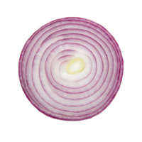 A vibrant slice of onion set against a clean transparent background showcasing its intricate layers and texture, Slice of onion transparent background png