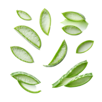 Fresh aloe vera leaves and slices arranged on a bright transparent background, Aloe vera fresh leaves with slices on transparent background png