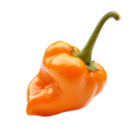 Fresh orange peppers on a transparent background highlighting their vibrant color and unique shape perfect for culinary dishes, orange pepperscapsicum on transparent background png