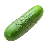 Fresh cucumber on a transparent background showcasing its vibrant green color and unique texture, ideal for healthy meals and snacks, cucumber isolated on transparent background png