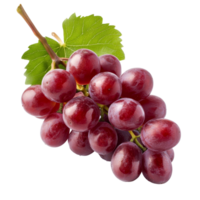 Fresh ripe red grapes on a stem with green leaves against a transparent background in natural lighting, Ripe red grape isolated on transparent background png