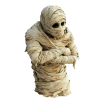 A terrifying mummy wrapped in tattered bandages stands isolated against a plain background, creating an eerie, scary mummy wrapped in bandages, file of isolated object with shadow on transparent background png