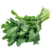 Fresh spinach, mugwort, and kale bunch on a transparent background ready for culinary use and nutritious dishes, Spinach Mugwort Kale on transparent background png