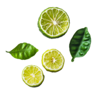 Fresh bergamot fruit sliced with vibrant green leaves on a clean transparent background, bergamot on transparent background png