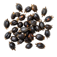 Castor oil seeds isolated on transparent background showcasing their unique shape and color with a texture in a clear layout, Castor oil seeds isolated on transparent background png