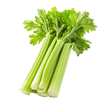 Fresco apio tallos aislado en un limpiar transparente antecedentes exhibiendo vibrante verde hojas y crujiente textura adecuado para varios culinario usos, apio aislado en transparente antecedentes png