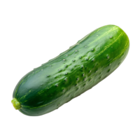 Fresh cucumber resting on a clean transparent background with vivid hue enhancement showcasing its texture and shape, striped cucumber on transparent background png