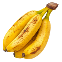 Fresh tropical bananas on a transparent background, showcasing their vibrant yellow color and unique textures, tropical banana fruit on transparent backgroundfile png