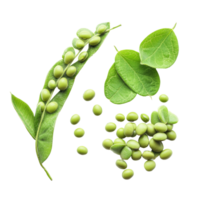 Fresh green soybeans and leaves arranged on a transparent background, showcasing vibrant colors and natural textures, Green soy beans on transparent background png