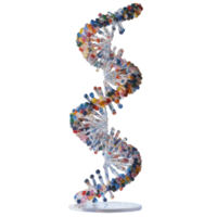 Colorful DNA double helix structure with shimmering representation in a minimalist display, DNA structure png