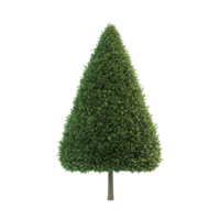 A flat isolated cone shaped tree on a transparent background showcasing a vibrant color, Cone shape tree flat 3d isolated on transparent background png