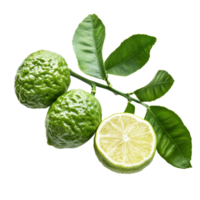 Bergamot citrus fruit with leaves on a transparent background showcasing its unique texture and color, bergamot on transparent background png
