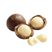 Peeled macadamia nuts displayed on a transparent background with shells partially open revealing the nut inside, Peeled macadamia nut on transparent background png