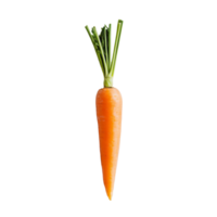 Fresh carrot with vibrant green tops against a clean, transparent background showcasing natural beauty and simplicity, Carrot slice top view isolated on transparent background png