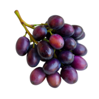 Fresh Burmese grapes arranged on a clean transparent background highlighting their rich color and texture, Burmese grape on transparent background background png