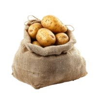 Fresh, unpeeled potatoes in a burlap sack isolated against a transparent background for culinary uses and recipes, potato in the sack isolated on transparent background png