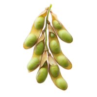 Isolated soybean pods showcasing green seeds against a smooth background from a unique perspective, Different angle of individual soybean isolated png