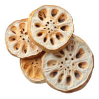 Fresh lotus roots sliced and arranged on a clean transparent background showcasing their unique textures and patterns, Lotus roots isolated on transparent background png