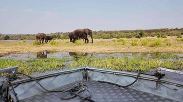Above view of Safari Skyline at Chobe National Park in Kasane Botswana . Boat Game Drive. video