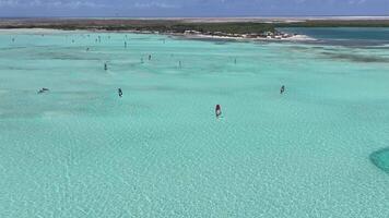 Awesome Wind Surfing in Kralendijk Bonaire in Netherlands Antilles . Kite Idyllic. video