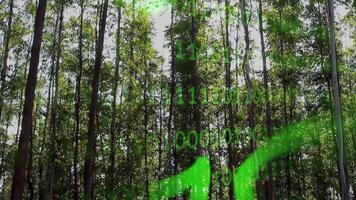 Awe Solar Panels in Green Energy Binary Code Brazil. video