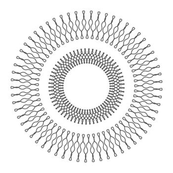 circular resumen modelo con geométrico elementos vector