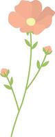 One stalk of spring flowers vector