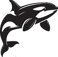 Powerful orca shape artwork on pure white vector