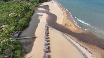 Stunning Espelho Beach in Porto Seguro Bahia in Brazil . Landmark Palm Trees. video