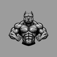 A powerful illustration depicts a muscular pitbull dog with a remarkably defined physique resembling a human bodybuilder. vector