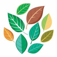 A group of different colored leaves on a white background vector