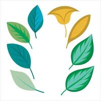 A set of colorful leaves on a white background vector