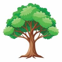 A cartoon tree with green leaves on a white background vector