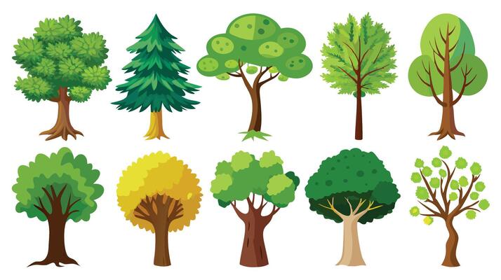 illustration of different types of trees on a white background