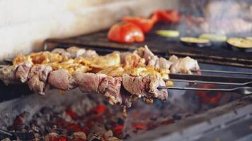 Barbeque on a stove. Meat and vegetables being grilled. Juicy meat and vegetables on coals. Kebab on metal skewers barbecue. video