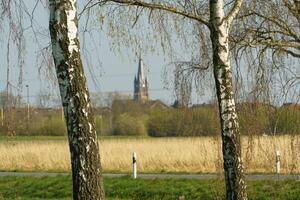 A field of grass and a church photo